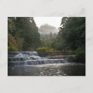 Siuslaw Falls Postcard