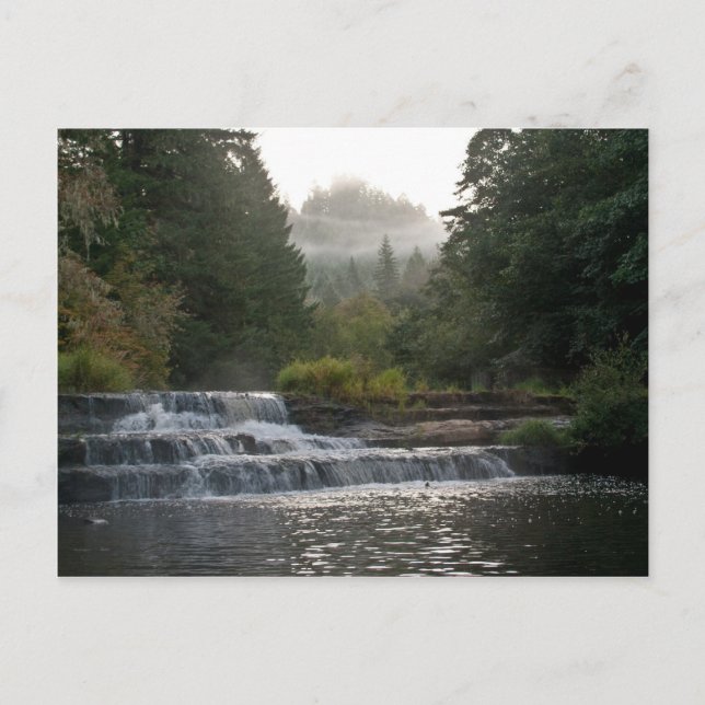 Siuslaw Falls Postcard (Front)