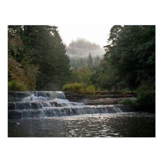Siuslaw Falls Postcard