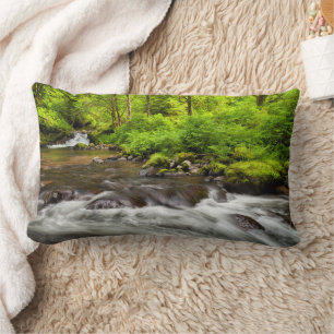Siuslaw National Forest, Sweet Creek, Oregon Lumbar Pillow