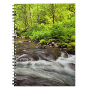 Siuslaw National Forest, Sweet Creek, Oregon Notebook