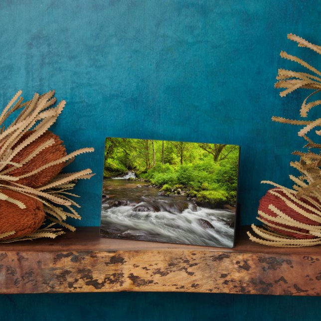 Siuslaw National Forest, Sweet Creek, Oregon Plaque (Side)