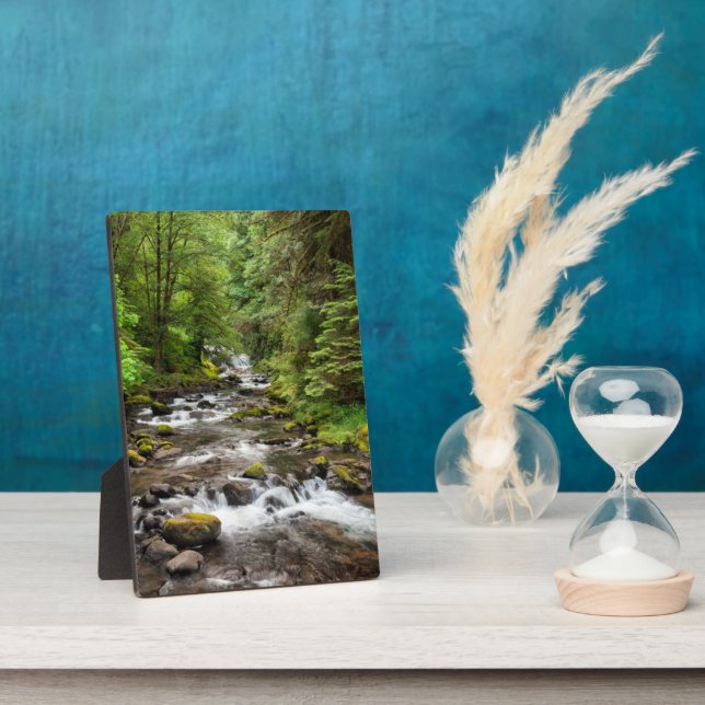 Siuslaw National Forest | Sweet Creek Plaque (Side)