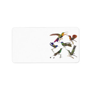 Six Beautiful Hummingbirds by Rene Lesson Label