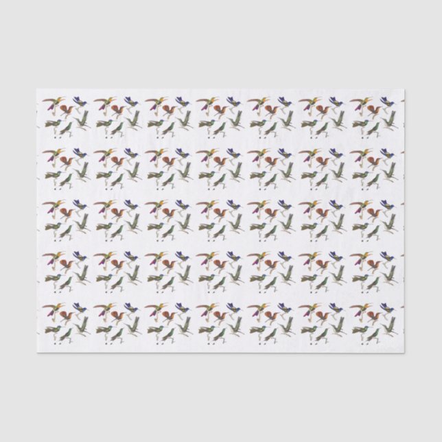 Six Beautiful Hummingbirds Tissue Paper (Front)