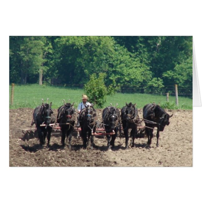 Six chevaux au travail (Devant horizontal)