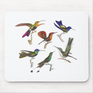 Six Colourful Hummingbirds Mouse Pad