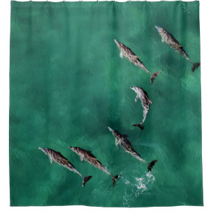 SIX DOLPHINS AT CALM WATER