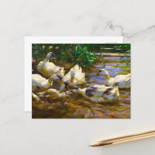 Six Ducks in Blue Reed Water by Alexander Koester Postcard