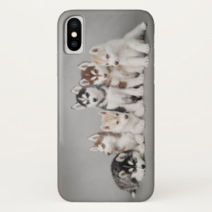 Six Huskie puppies Case-Mate iPhone Case