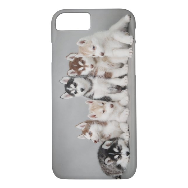 Six huskies Case-Mate iPhone case (Back)