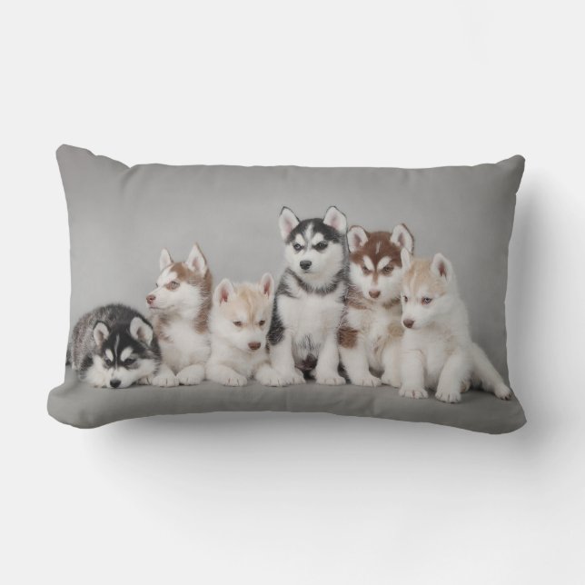 Six huskies lumbar pillow (Front)