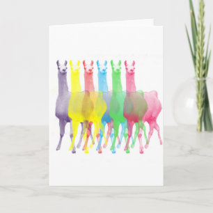 six lamas in six llama colours card
