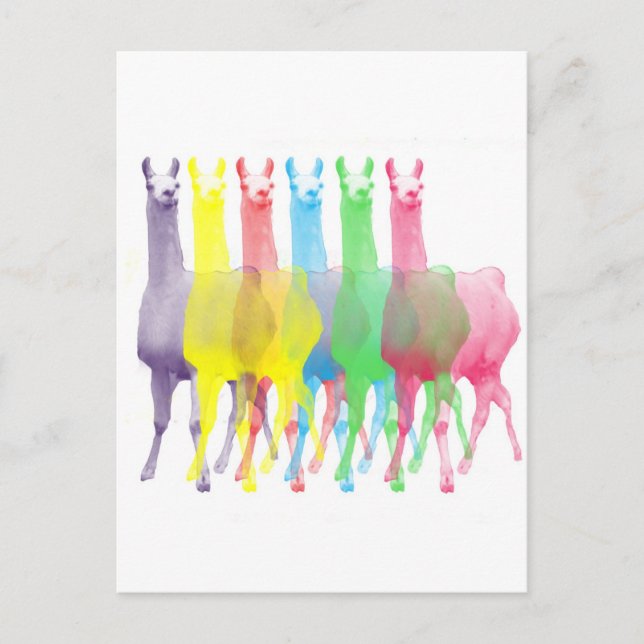six lamas in six llama colours postcard (Front)