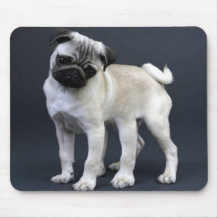 Six Legged Pug Mouse Pad