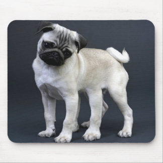 Six Legged Pug Mouse Pad