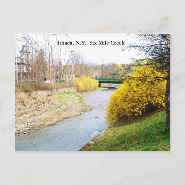 SIX MILE CREEK, ITHACA, N.Y. carte postale (Devant)