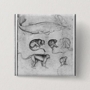 Six Monkeys and a Sturgeon 2 Inch Square Button