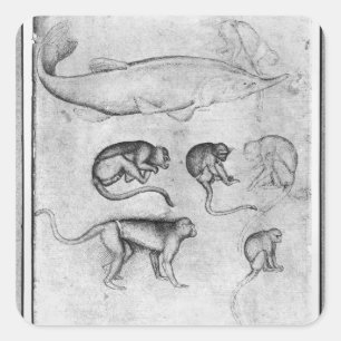 Six Monkeys and a Sturgeon Square Sticker