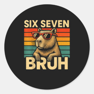 Six Seven Bruh Capybara Retro Vintage Funny 67 Mem Classic Round Sticker