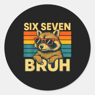 Six Seven Bruh Raccoon Vintage Funny 67 Meme Men W Classic Round Sticker