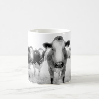 Six tasses de café fâchées de vaches
