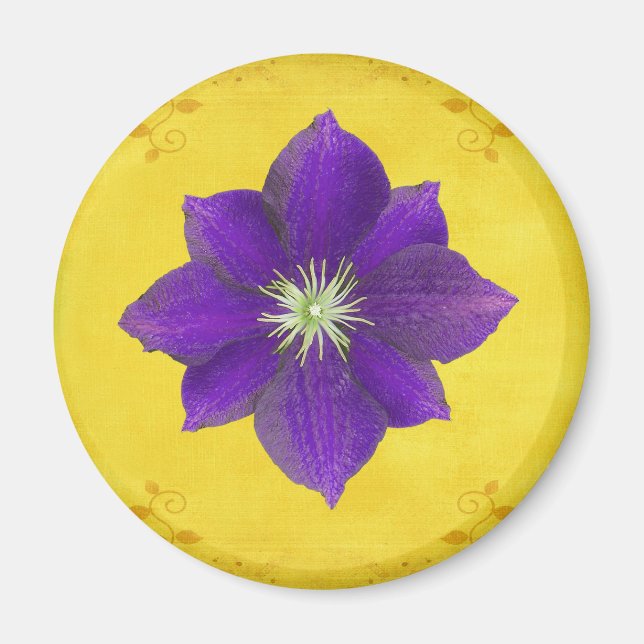 Sixth Chakra Gift – Third Eye Magnet (Front)