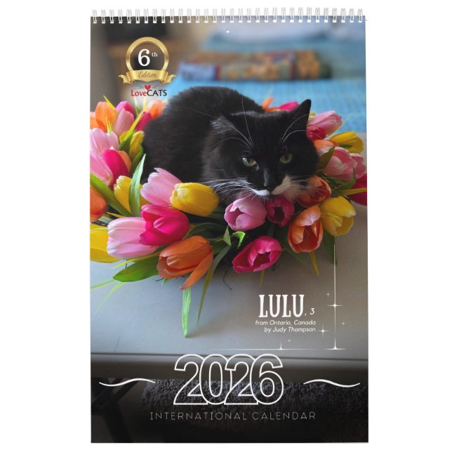 Sixth Edition 2026 Calendar (Cover)