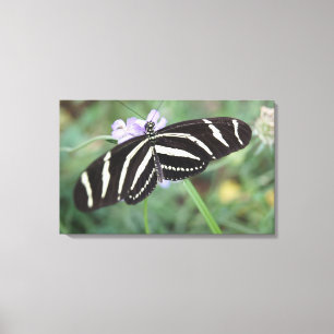 Sizzling Zebra Canvas Print