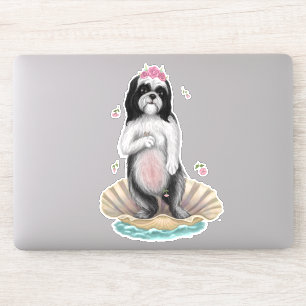 Sjih Tzu Venus
