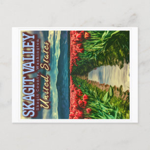 SKAGIT VALLEY - TULIP FIELDS - SKAGIT WASHINGTON  POSTCARD