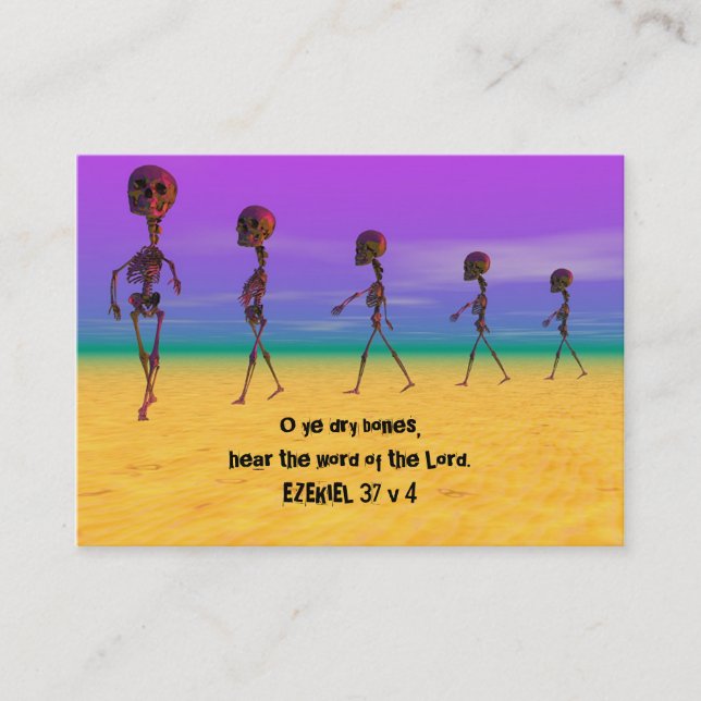 Skallywags Business Card (Front)