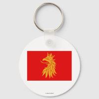 Skåne län flag