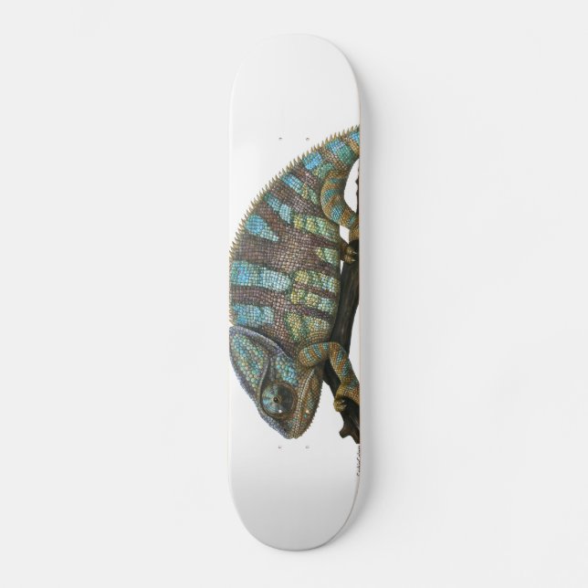 Skate chameleon skateboard (Front)