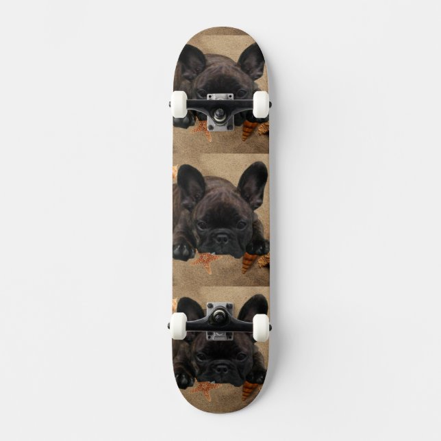 Skateboard (Recto)