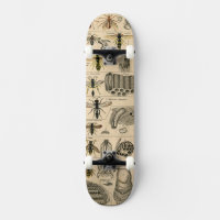 Abeille Insecte Bug Wasp Nature Peinture des abeil