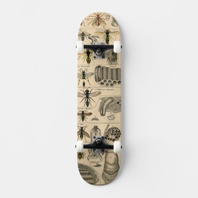 Skateboard Abeille Insecte Bug Wasp Nature Peinture des abeil (Recto)