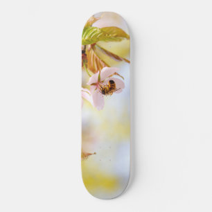Skateboard Abeille Sur Une Fleur De Cerise