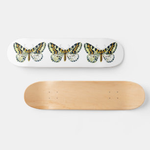 Skateboard Abraxas grand ulariata, The Magpie Moth Color Imag