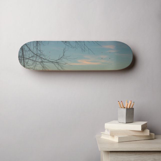 Skateboard Air et facilité (Art mural (Horz))