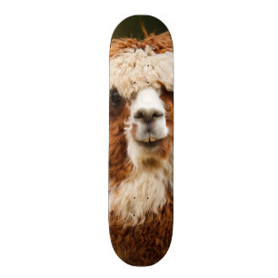 Skateboard Alpaca