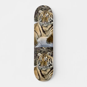 Skateboard Amateurs de tigres Cadeaux d'art