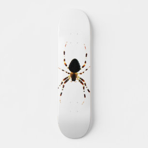 Skateboard Araignée