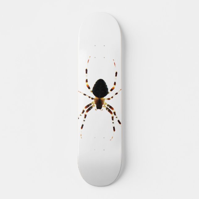 Skateboard Araignée (Devant)