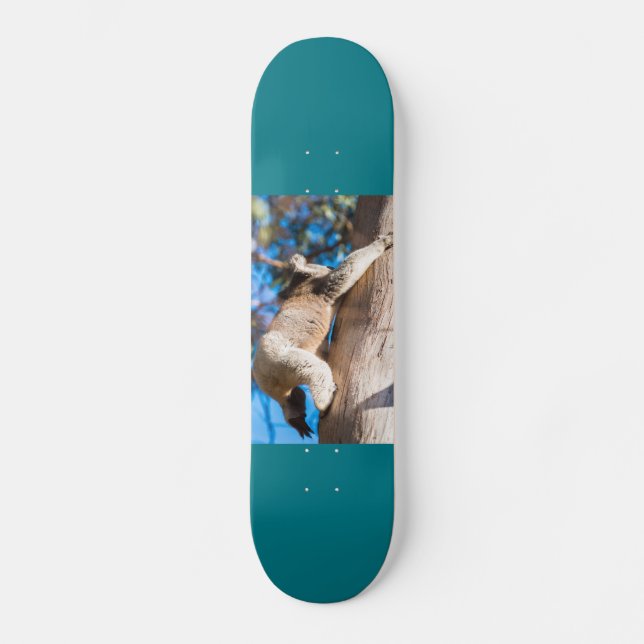 Skateboard arbre à escalade de koala en Australie (Recto)