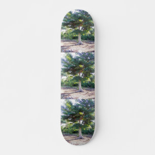 Skateboard Arbre de planche à roulettes