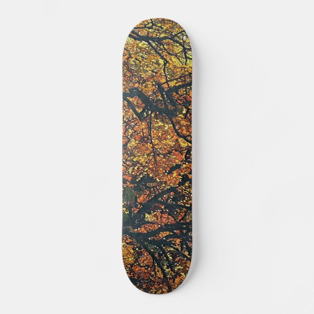 SKATEBOARD ARBRES (Recto)