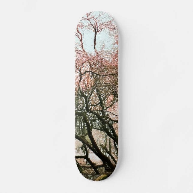 SKATEBOARD ARBRES (Recto)