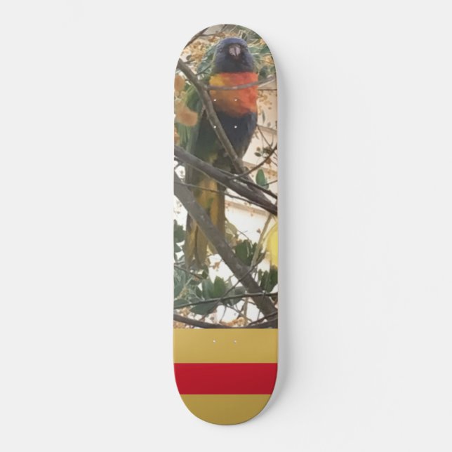 Skateboard Australian Wattle Rainbow Lorikeet Cockatoo Bird (Recto)