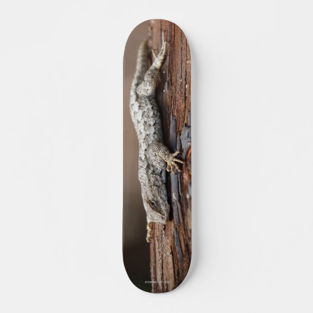 Skateboard avec lézard (Devant)